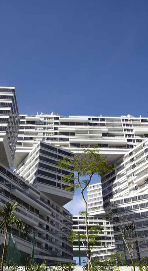 The Interlace